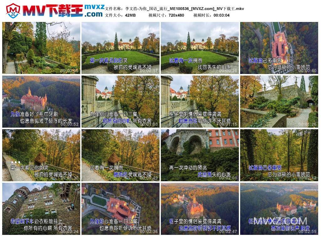 李文浩-为你_国语_流行_ME100536